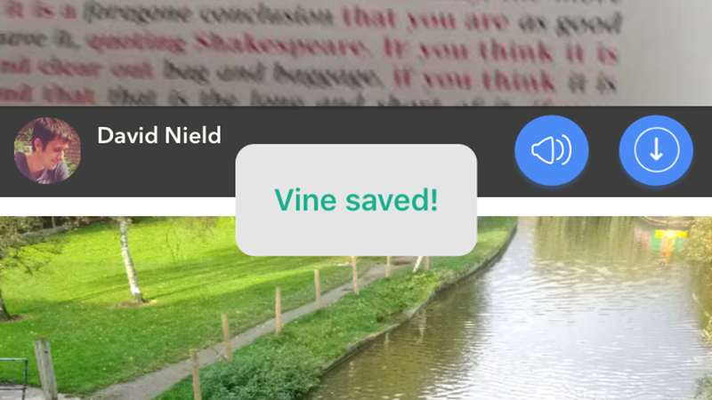 Illustration for article titled How to Save Your Vines Before It's Too Late